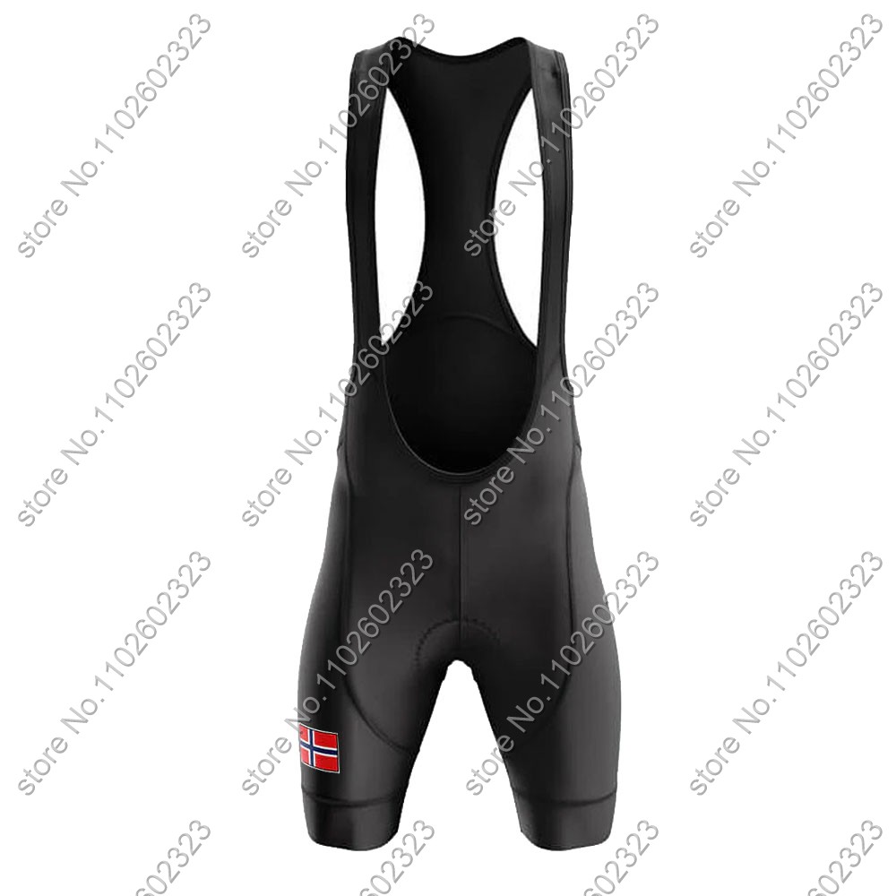 2024 Norway Cycling Jersey Nat - огляд і ціна Cycling Gear Clothing
